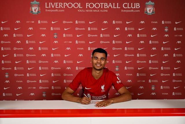 蓝光手机在线看