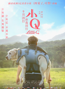 手机在线观看